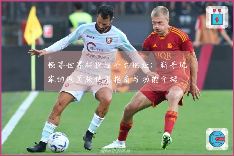 畅享世界杯投注平台地址:新手玩家的网页版使用指南与功能介绍