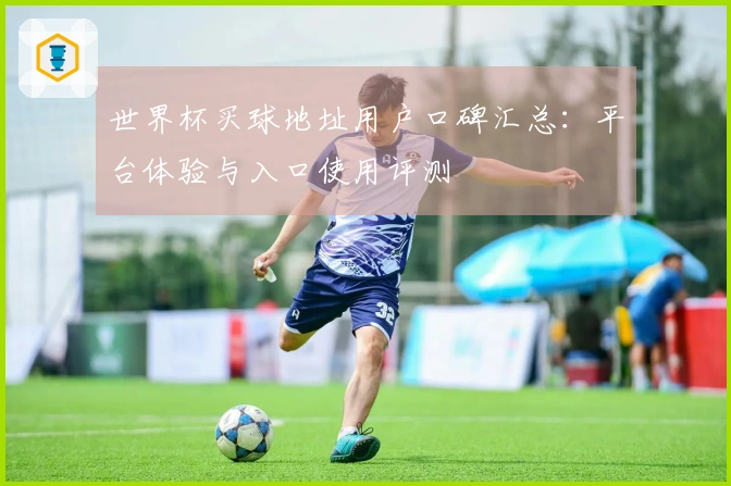 世界杯买球地址用户口碑汇总：平台体验与入口使用评测