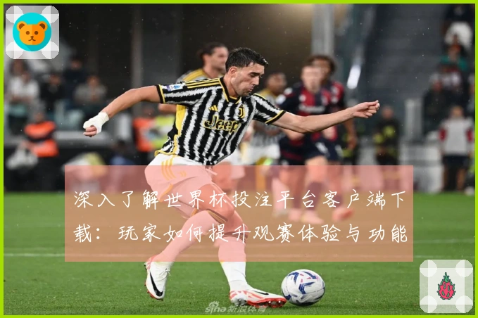 深入了解世界杯投注平台客户端下载：玩家如何提升观赛体验与功能使用技巧
