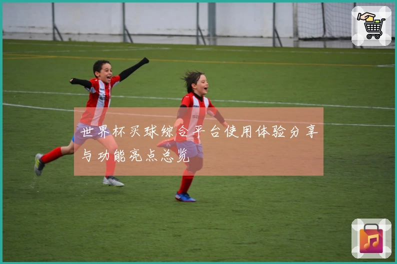 世界杯买球综合平台使用体验分享与功能亮点总览