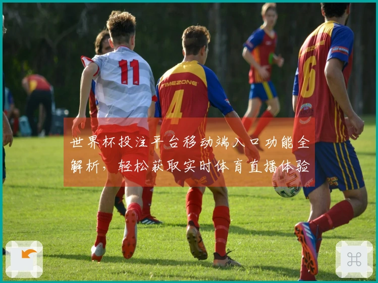世界杯投注平台移动端入口功能全解析，轻松获取实时体育直播体验