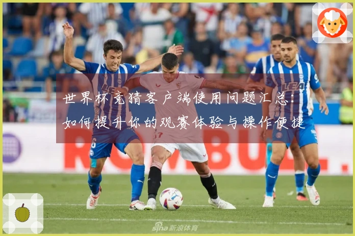 世界杯竞猜客户端使用问题汇总：如何提升你的观赛体验与操作便捷性