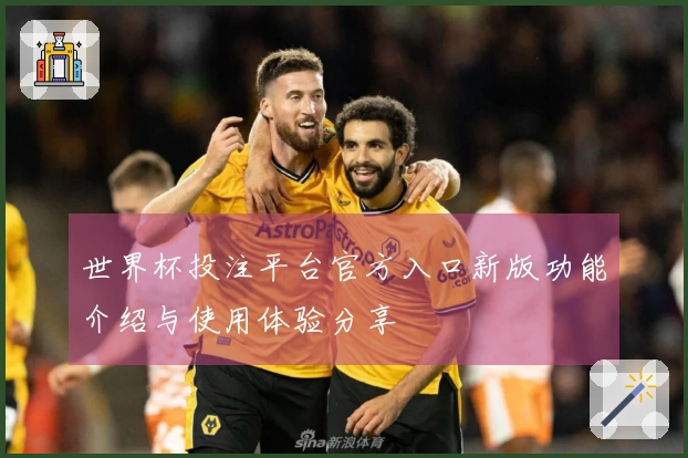世界杯投注平台官方入口新版功能介绍与使用体验分享