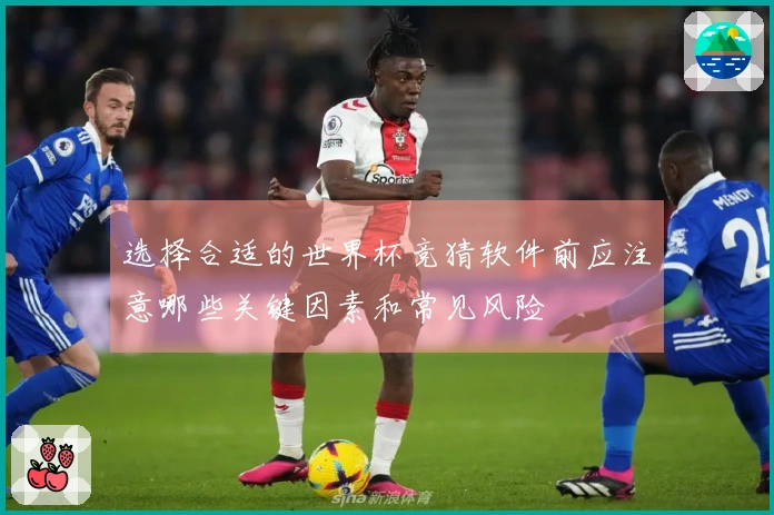 选择合适的世界杯竞猜软件前应注意哪些关键因素和常见风险