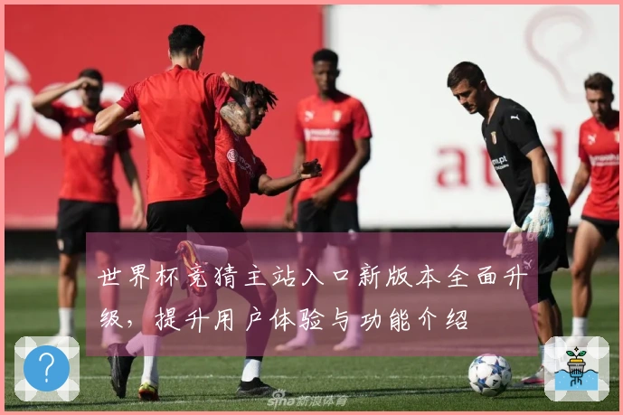 世界杯竞猜主站入口新版本全面升级，提升用户体验与功能介绍