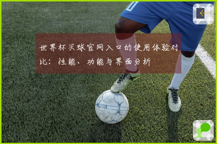 世界杯买球官网入口的使用体验对比:性能、功能与界面分析