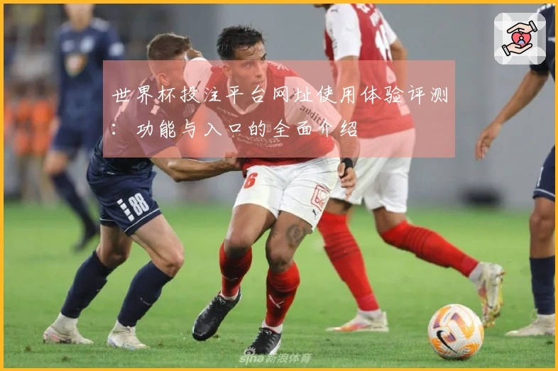 世界杯投注平台网址使用体验评测：功能与入口的全面介绍