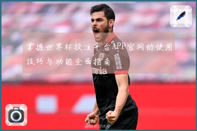 掌握世界杯投注平台APP官网的使用技巧与功能全面指南