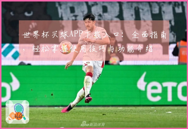 世界杯买球APP下载入口：全面指南，轻松掌握使用技巧与功能介绍