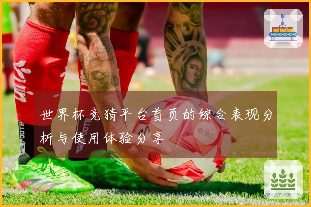 世界杯竞猜平台首页的综合表现分析与使用体验分享